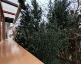 Kiadó lakás Szeged 250 000 Ft