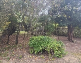 Eladó családi ház Zalaegerszeg 22 900 000 Ft