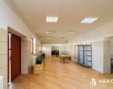 Kiadó ipari ingatlan Békéscsaba 290 000 Ft