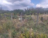 Eladó telek/földterület Kővágószőlős 5 500 000 Ft