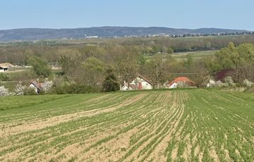 Eladó telek/földterület