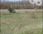 Eladó telek/földterület Kecskemét 21 000 000 Ft