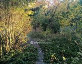 Eladó telek/földterület Solymár 69 900 000 Ft