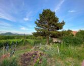 Eladó lakás Kisapáti 22 900 000 Ft