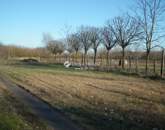 Eladó családi ház Csongrád 98 000 000 Ft