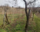 Eladó üdülő/nyaraló Zalaszentlászló 45 000 000 Ft