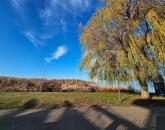 Eladó családi ház Siófok 199 000 000 Ft