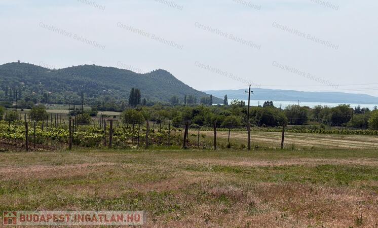 Panorámás SZŐLŐBIRTOK Balatonfüred és Aszófő között eladó                                 