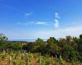 Panorámás terület - eladó MEZŐGAZDASÁGI TERÜLET BALATONFÜREDEN