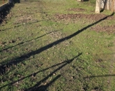 Eladó telek/földterület Tápiószele 3 500 000 Ft