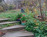 Ház Héregen, a Bikaréti dűlőben, szőlővel eladó