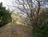 Eladó telek/földterület Solymár 215 000 000 Ft