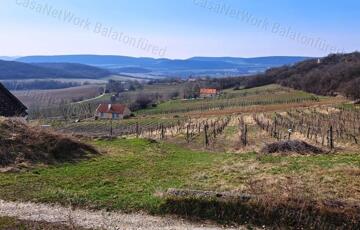 Eladó telek/földterület