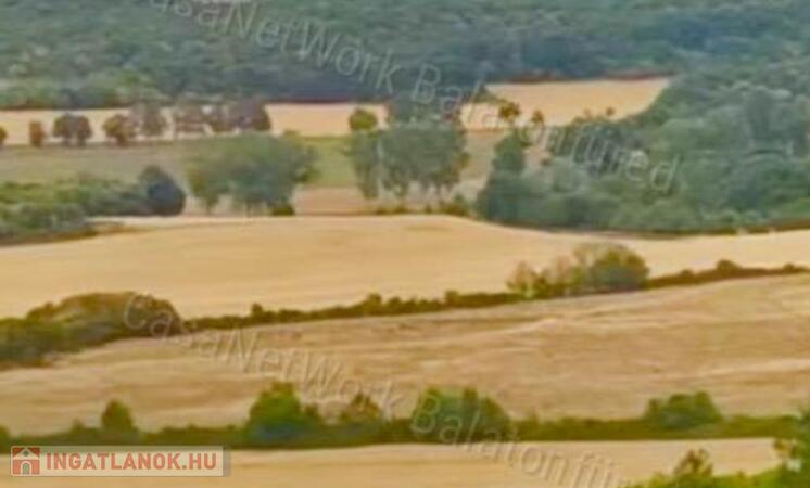 Minőségi panorámás szőlő birtok