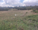 Eladó telek/földterület Kővágószőlős 5 500 000 Ft