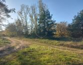 Eladó telek/földterület Papkeszi 1 900 000 Ft