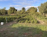 Eladó családi ház Elek 8 500 000 Ft