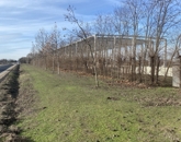 Eladó telek/földterület Dabas 5 900 000 Ft