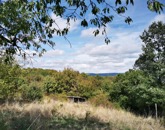 Eladó telek/földterület Dunabogdány 15 000 000 Ft