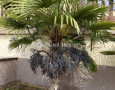 Eladó családi ház Vonyarcvashegy 134 900 000 Ft