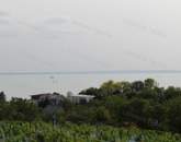 Balatonra panorámás telek tulajdoni hányadok eladók Badacsonyörsön!