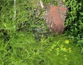 Eladó telek/földterület Komárom 14 500 000 Ft