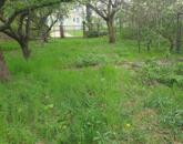 Zártkert Tatabányán