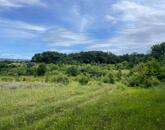 Levendula ültetvény a Balaton-felvidéken