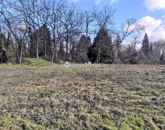 Eladó telek/földterület Szigetmonostor 120 000 000 Ft