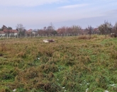 Eladó telek/földterület Erk 1 300 000 Ft