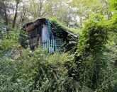 Eladó telek/földterület Isaszeg 11 950 000 Ft