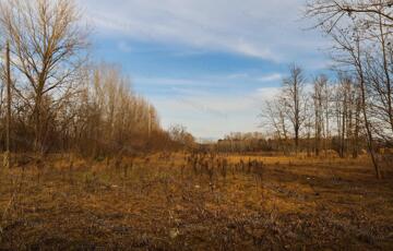 Eladó telek/földterület