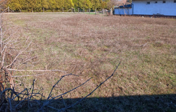 Eladó telek/földterület