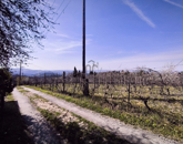 Eladó családi ház Zalaegerszeg 6 600 000 Ft