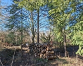 Eladó telek/földterület Budakeszi 29 900 000 Ft