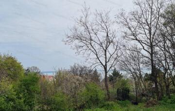 Eladó telek/földterület