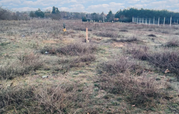 Eladó telek/földterület