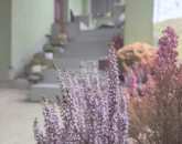 Eladó lakás Zalaegerszeg 56 990 000 Ft