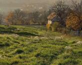 Tatabánya Kőhegy sétány - gyönyörű panorámával építési telek eladó