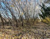 Eladó telek/földterület Dömsöd 11 600 000 Ft