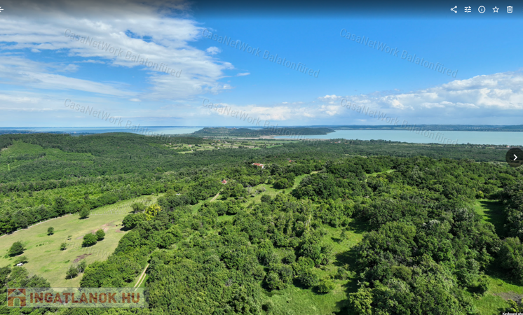 Balaton-felvidéken 6,3 ha birtok, 2 db romos épülettel