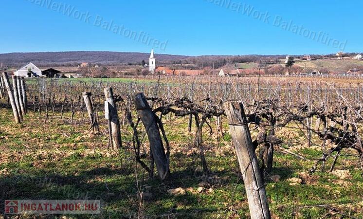 Település szélén -eladó MEZŐGAZDASÁGI TERÜLET BALATONCSICSÓN