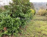 Eladó telek/földterület Budapest III. ker 45 000 000 Ft