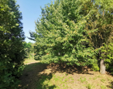 Eladó telek/földterület Iszkaszentgyörgy 2 000 000 Ft