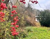 Zöldövezeti, Patakpart kapcsolatos Mesés Telek