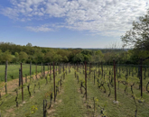 Eladó üdülő/nyaraló Csatár 16 850 000 Ft