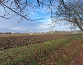 Eladó telek/földterület Kémes 1 290 000 Ft