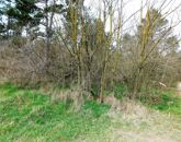 Eladó telek/földterület Cserszegtomaj 580 000 000 Ft