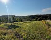 Eladó Mencshelyi zártkert!