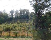 Eladó családi ház Zalakaros 78 000 000 Ft